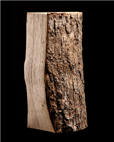 40 bolsas de madera seca – 100% ceniza – 8 kg