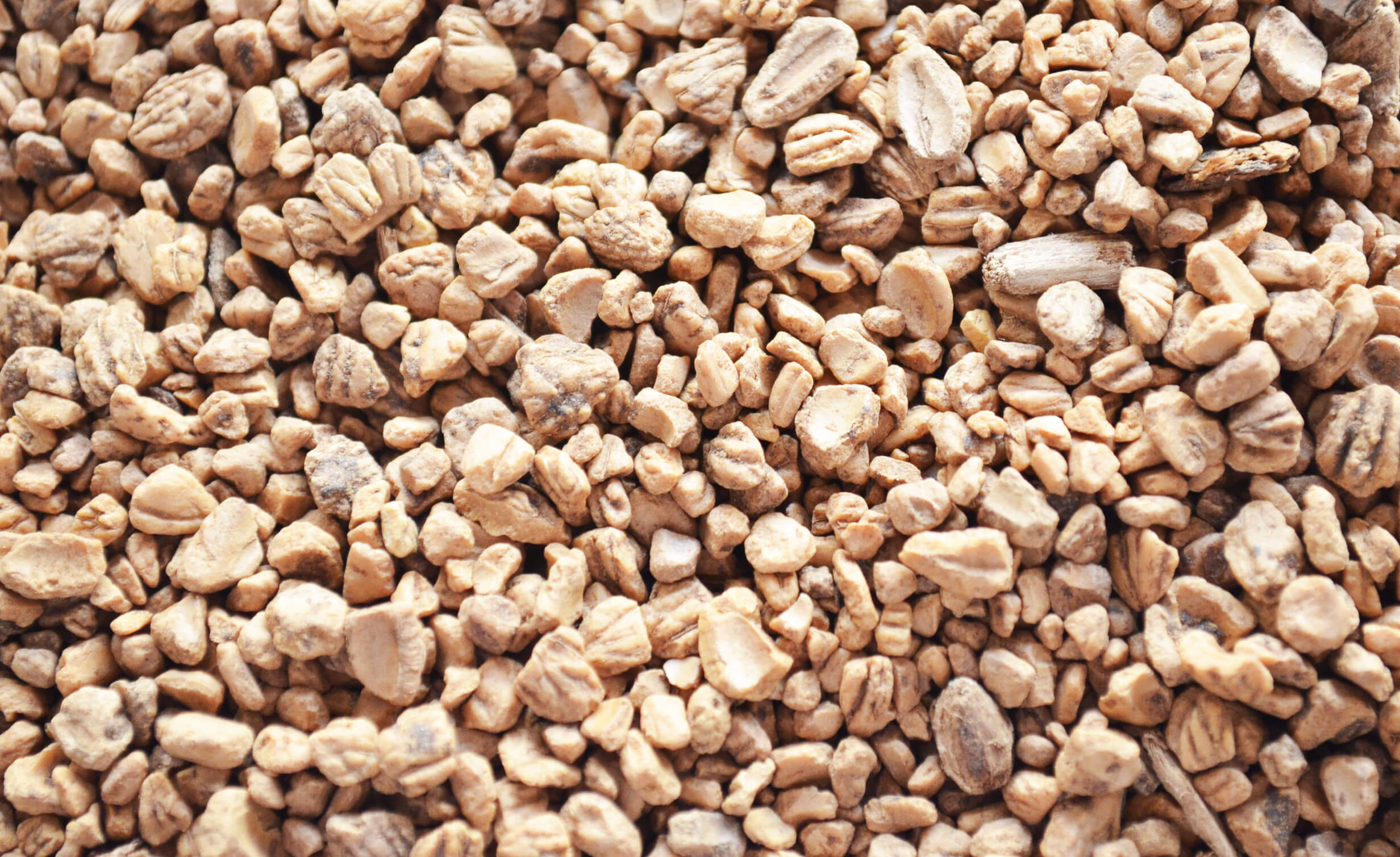 Hueso de aceituna certificado PREMIUM- Piropel – Palet 70